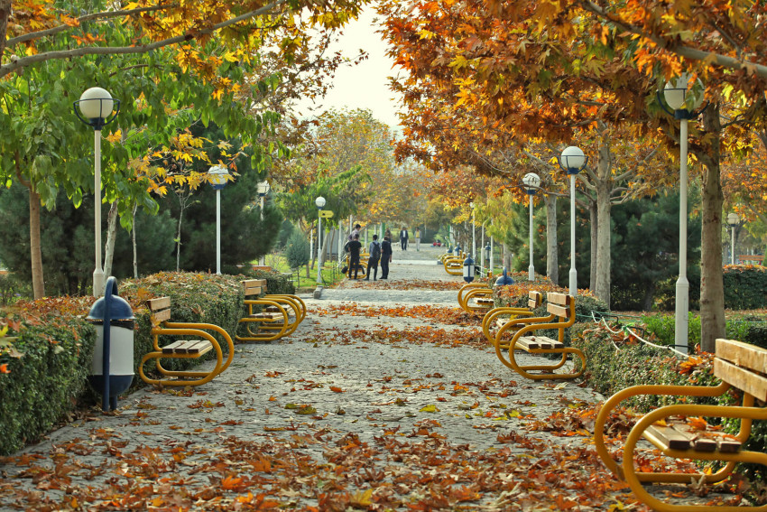 تصویر پارک کوهسنگی مشهد - 2