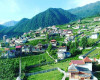 تصویر روستای لاویج نور - 0