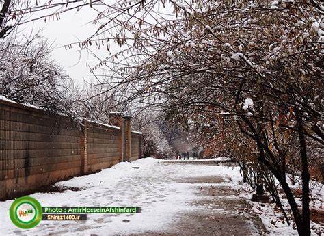 تصویر باغ های چمران شیراز 