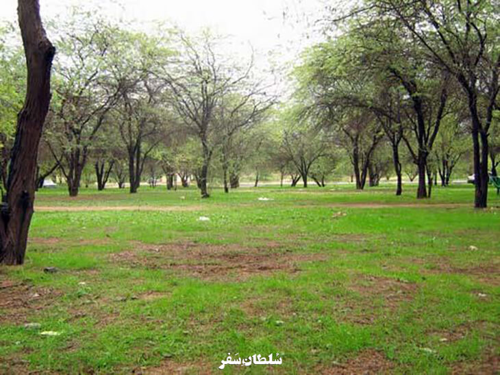تصویر پارک جنگلی چاه کوتاه بوشهر 