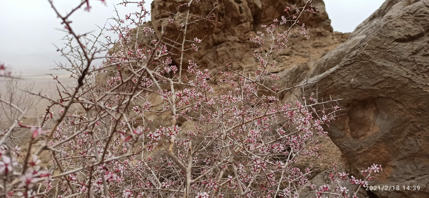 تصویر پارک ملی کلاه قاضی اصفهان 