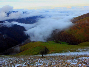 ییلاق دیلمان