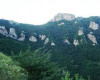 تصویر قلعه شیندان آستارا - 0