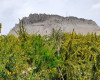 تصویر روستای گیوشاد بیرجند - 0