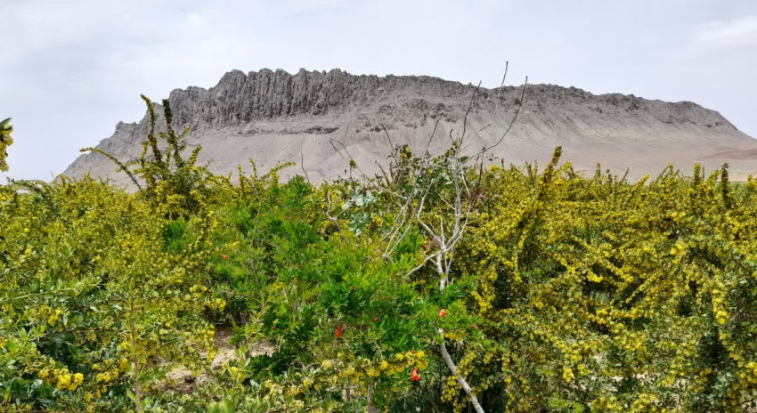 تصویر روستای گیوشاد بیرجند 