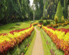 تصویر باغ گیاه شناسی چابهار - 0