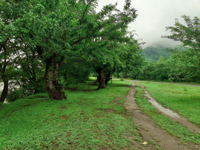 تصویر روستای سیاه منسه لنگرود 