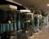 تصویر موزه تاریخ طبیعی اردبیل - 5