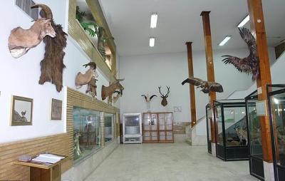 تصویر موزه تاریخ طبیعی اردبیل - 3