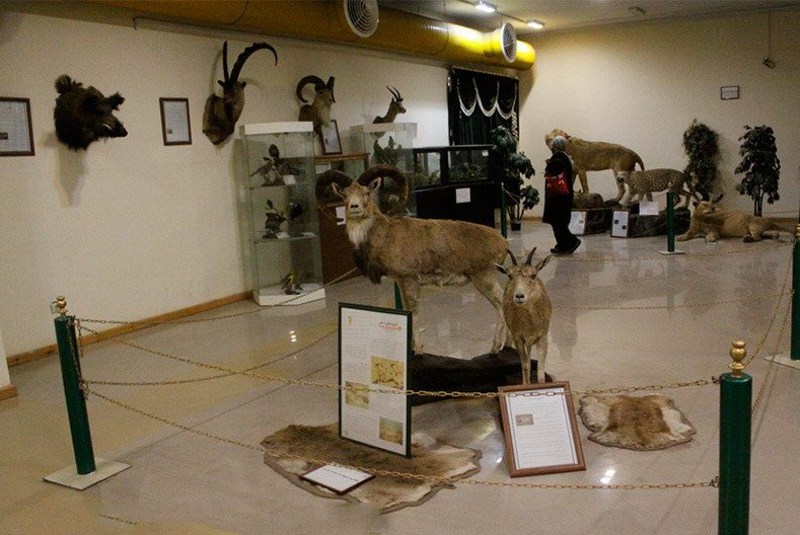 تصویر موزه تاریخ طبیعی اردبیل 