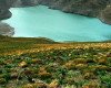 تصویر دریاچه چشمه سبز گلمکان - 1