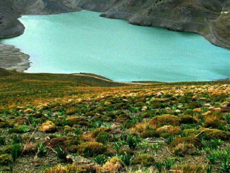 تصویر دریاچه چشمه سبز گلمکان - 2