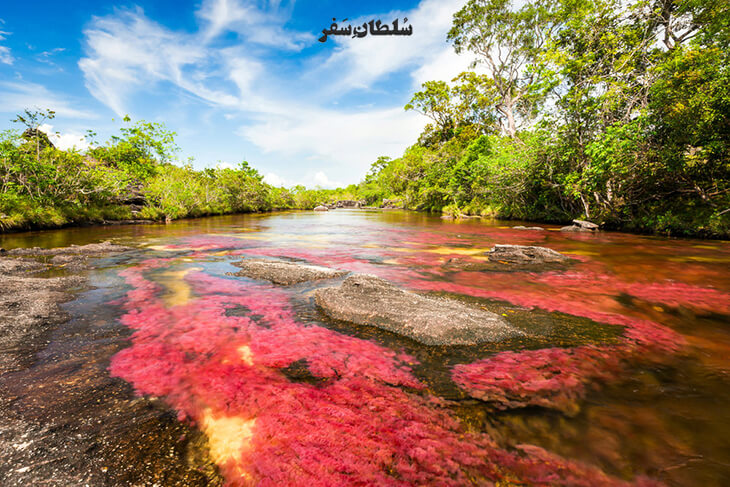 چشمه هفت رنگ مجن