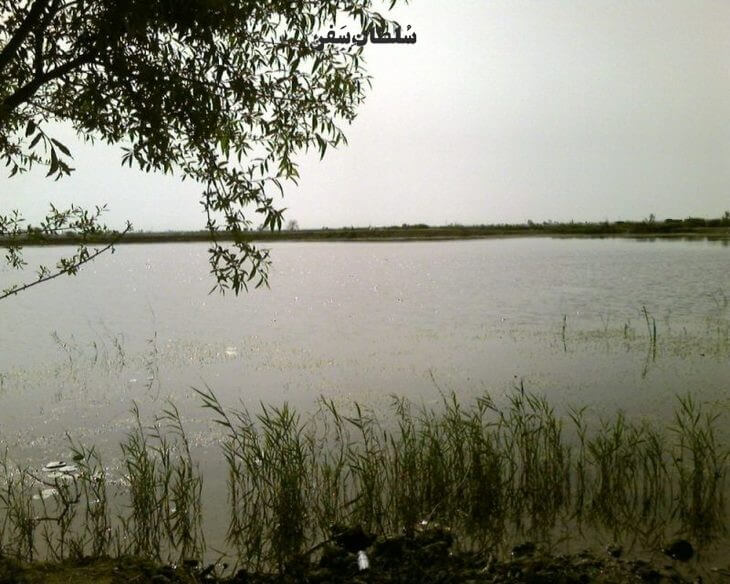 تالاب عزیرک بابلسر