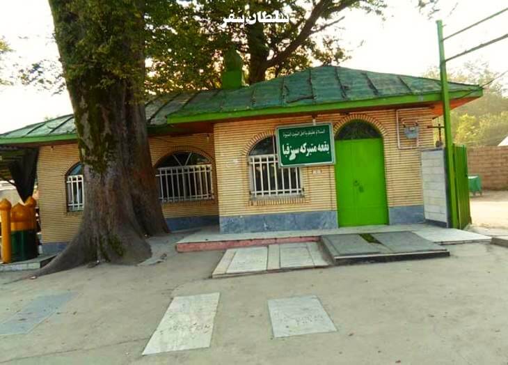 بقعه سبز قبا 