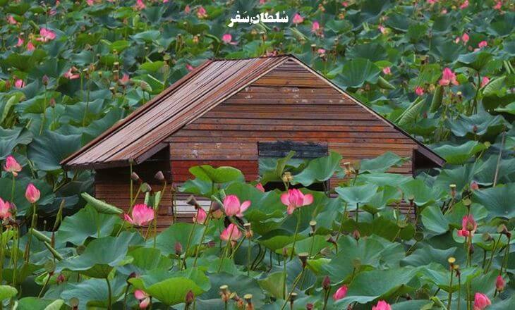 تالاب حیدر کلا