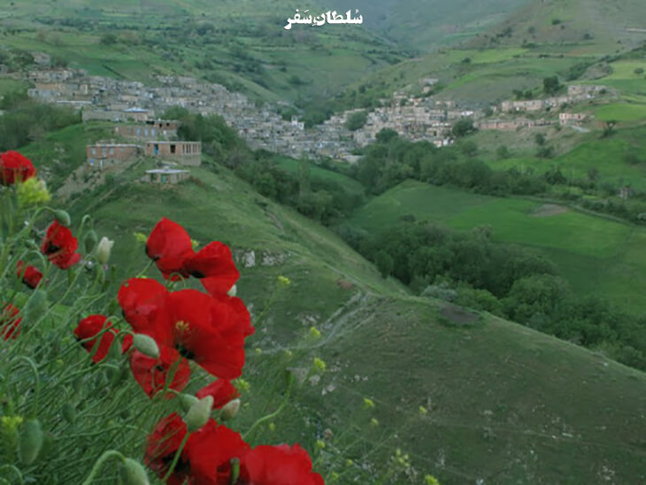 سارال و هزارکانیان 