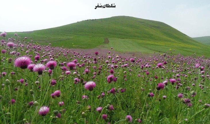 دشت مغان اردبیل