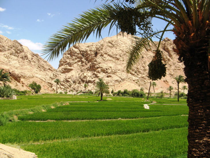 ازمیغان طبس