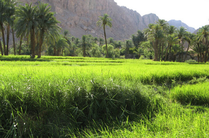 روستای ازمیغان طبس