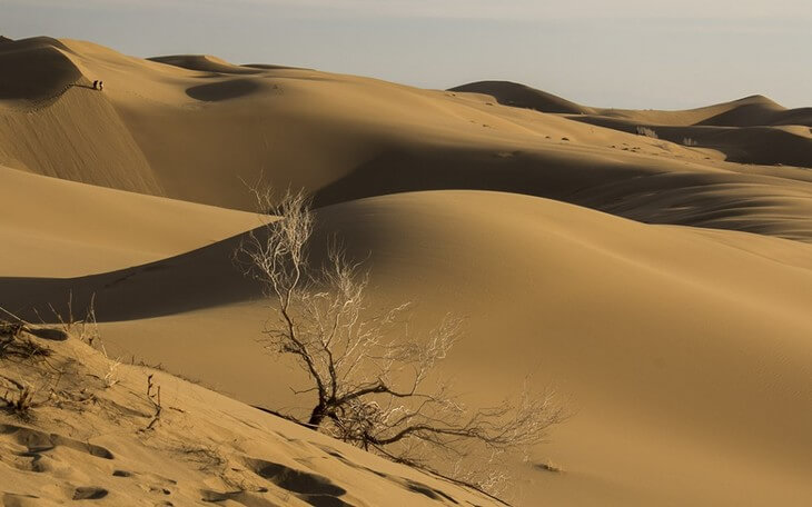 کویر حلوان طبس