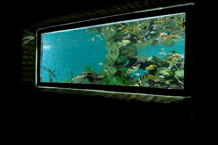 آکواریوم قشم