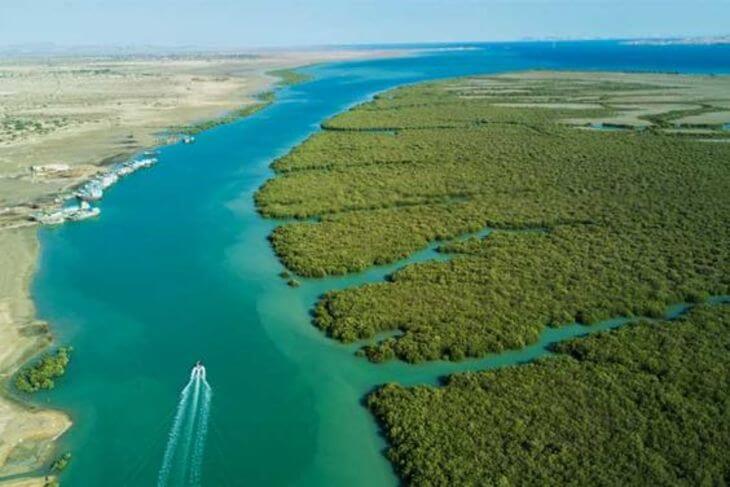 جنگل های حرا در قشم