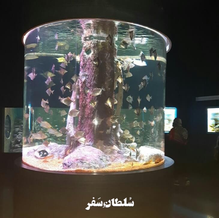 آکواریوم اصفهان - جاهای دیدنی اصفهان