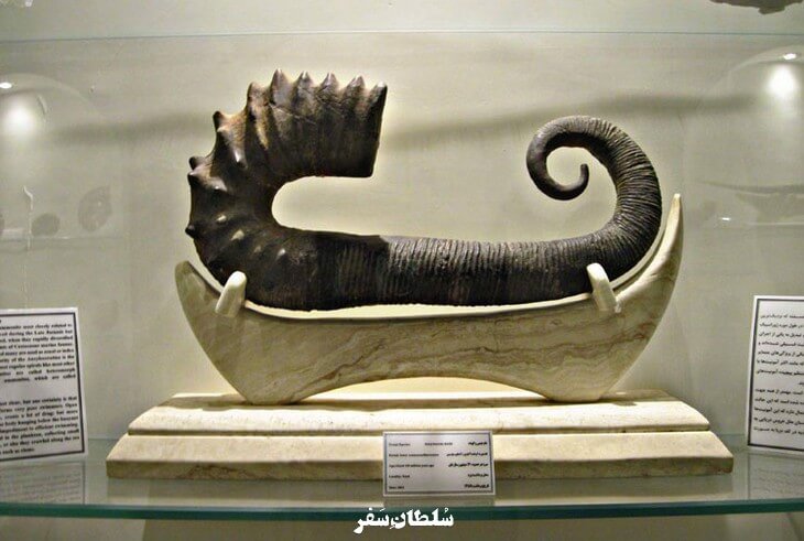 موزه کامبرین یزد