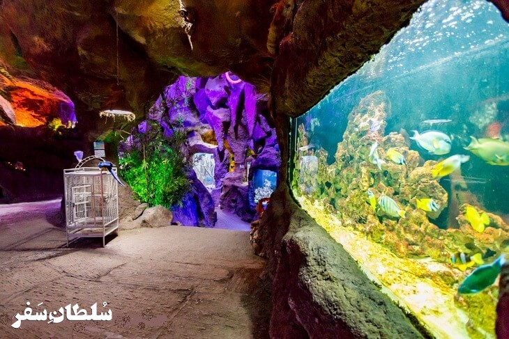 غار آکواریوم گنجنامه - جاهای دیدنی همدان