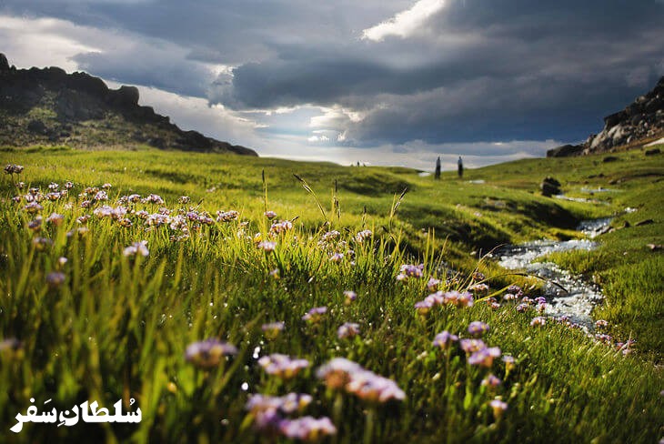 دشت میشان در گنجنامه همدان