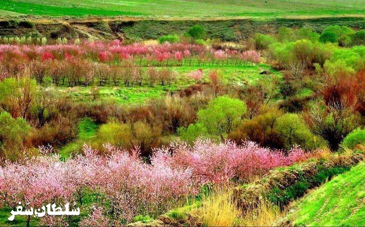 سراب ملوسان نهاوند - جاهای دیدنی همدان