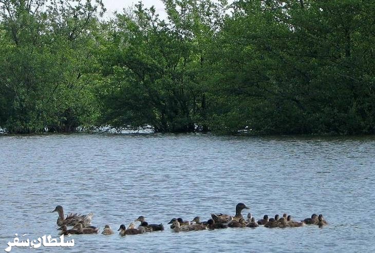 تالاب آق - جاهای دیدنی آستارا