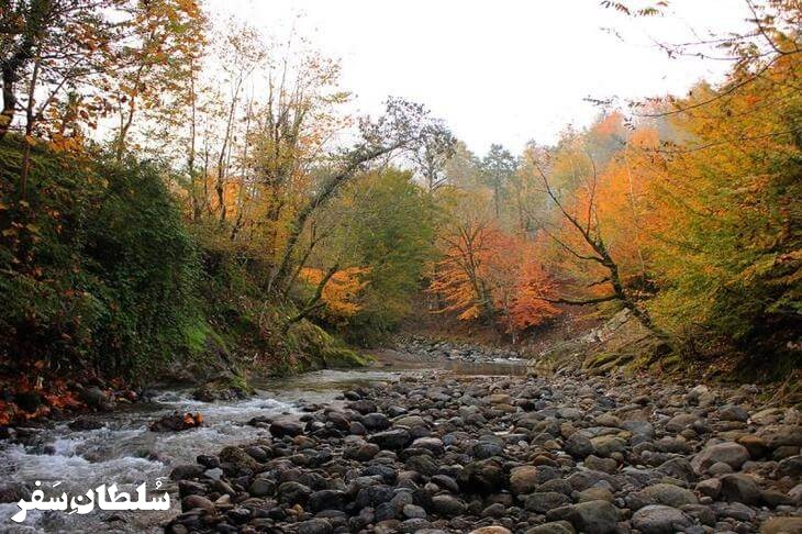 پارک جنگلی بی بی یانلو - جاهای دیدنی آستارا