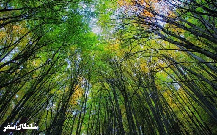 روستای الیمستان - جاهای دیدنی مازندران