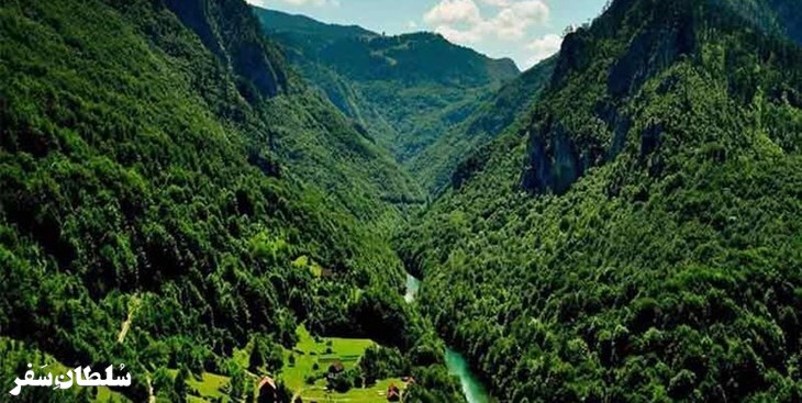 جنگل هیرکانی - جاهای دیدنی مازندران