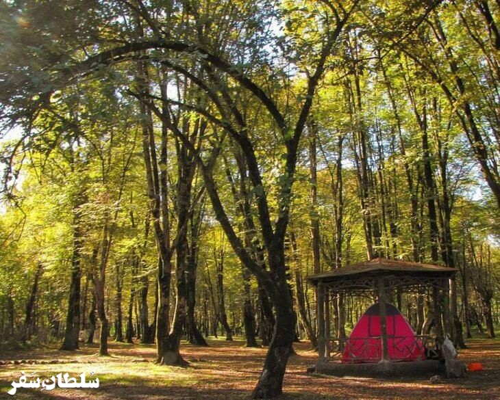 پارک جنگلی سی‌سنگان - جاهای دیدنی مازندران
