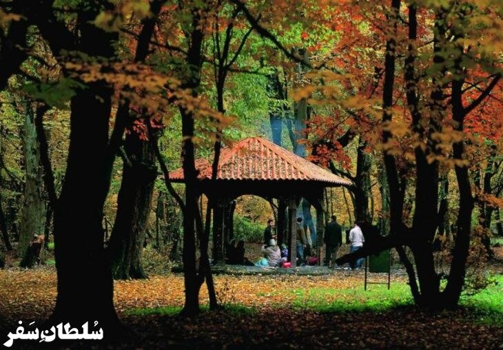 پارک جنگلی ناهار خوران - جاهای دیدنی گرگان
