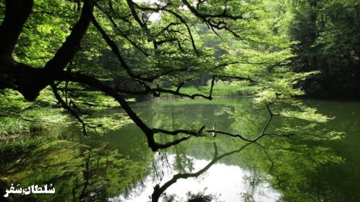 تالاب فراخین - جاهای دیدنی  نوشهر