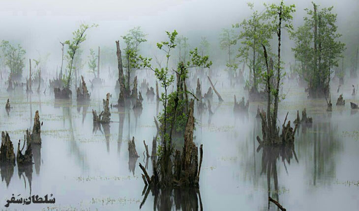 دریاچه ارواح - جاهای دیدنی نوشهر