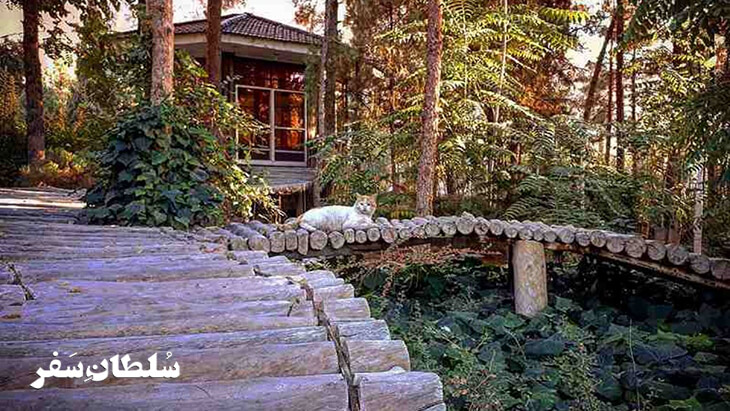 جنگل-پردیسان-قائم