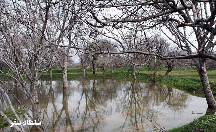 باغستان_سنتی_قزوین
