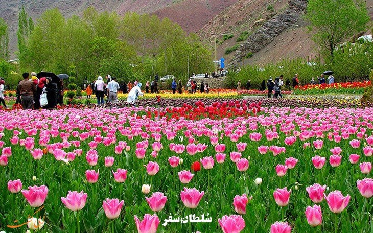 باغ لاله گچسر - جاهای دیدنی کرج