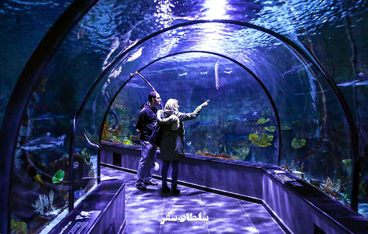 آکواریوم-انزلی