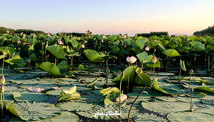 تالاب-انزلی