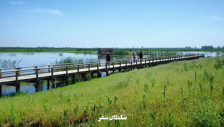 پناهگاه-حیات-وحش-سلکه