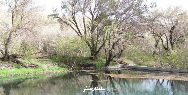 روستای وشنوه قم