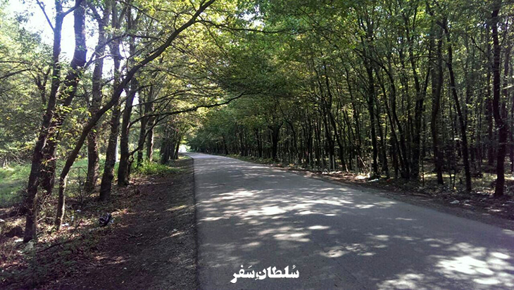 جنگل-بونده-محمودآباد