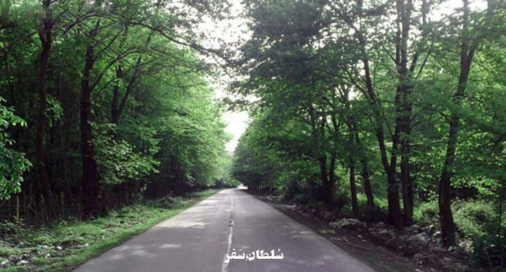 جنگل-روستای-اهلم