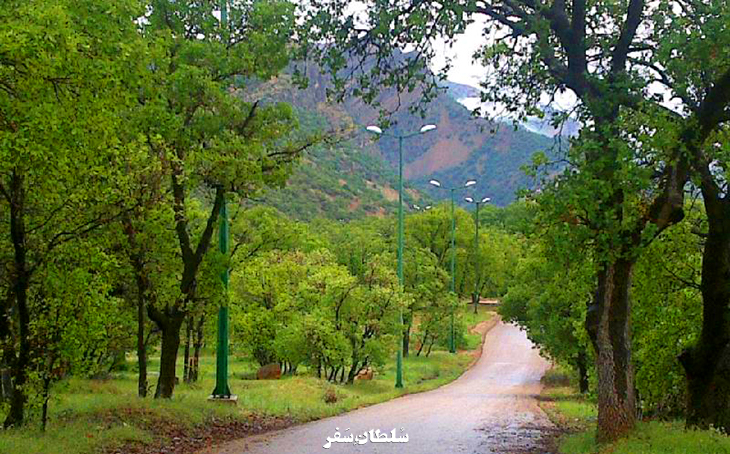پارک-جنگلی-تشبندان